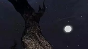 Through the Woods: Tráiler de Anuncio