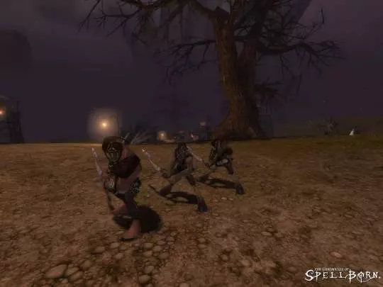 The Chronicles of Spellborn