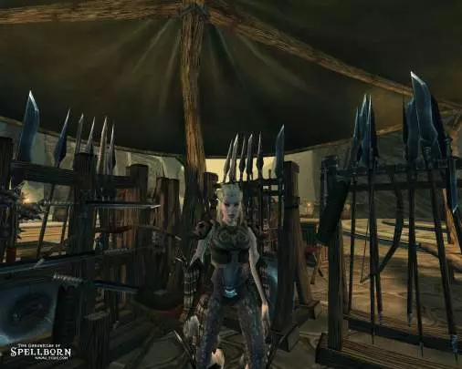 The Chronicles of Spellborn