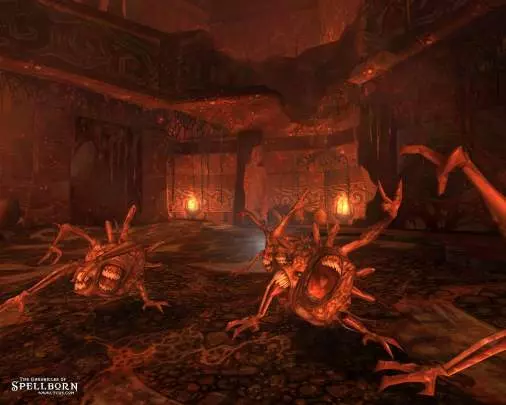 The Chronicles of Spellborn