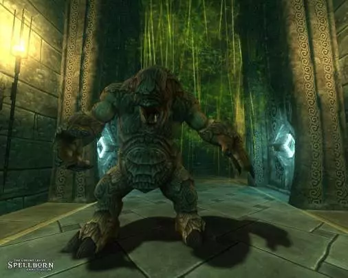 The Chronicles of Spellborn - PC