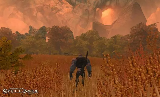 The Chronicles of Spellborn