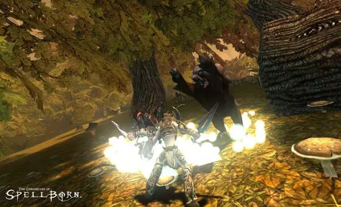 The Chronicles of Spellborn