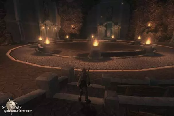 The Chronicles of Spellborn