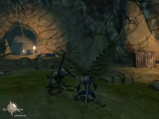 The Chronicles of Spellborn - PC