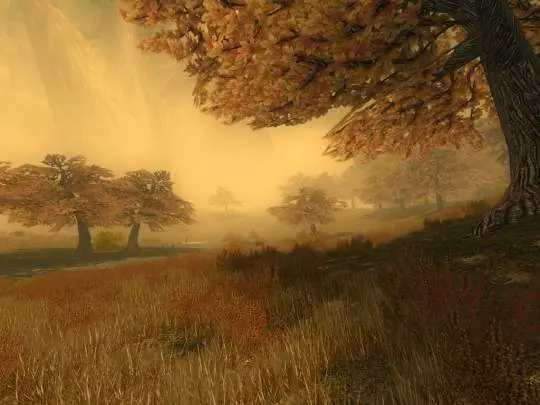 The Chronicles of Spellborn