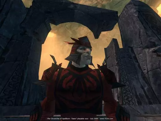 The Chronicles of Spellborn - PC