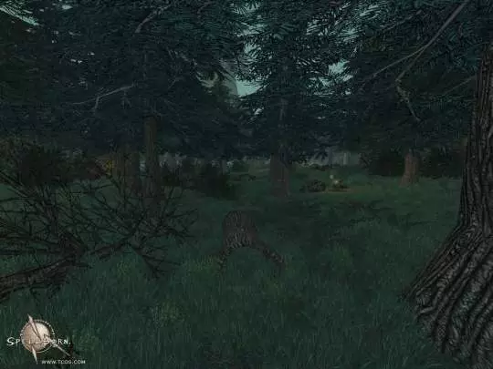 The Chronicles of Spellborn