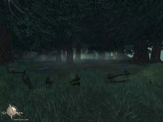 The Chronicles of Spellborn