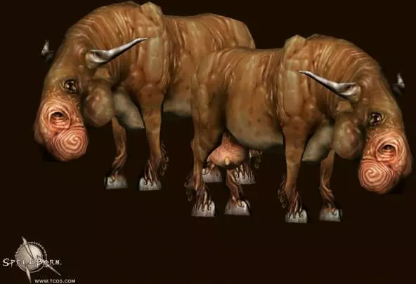 The Chronicles of Spellborn