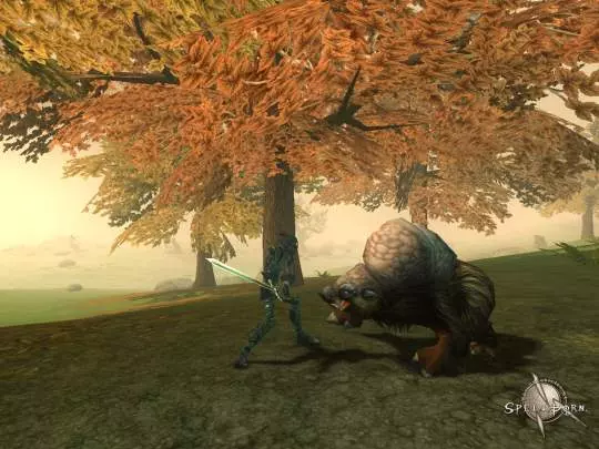 The Chronicles of Spellborn - PC