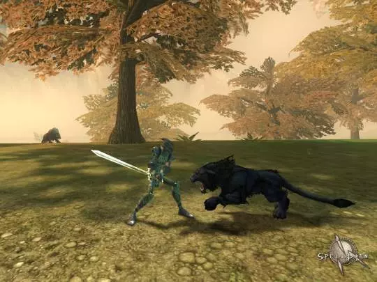 The Chronicles of Spellborn