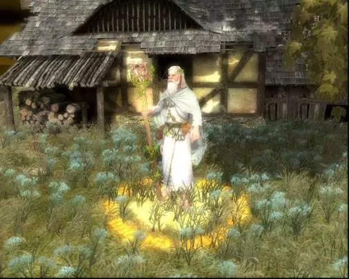 Warhammer Mark of Chaos