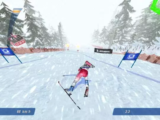 Ski Racing 2006