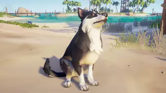 Sea of Thieves integrará perros como mascota en su siguiente actualización