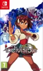 Indivisible Nintendo Switch