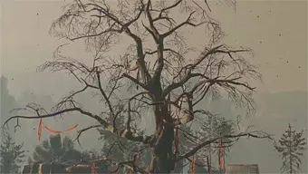 Dying Light The Following: Exploración