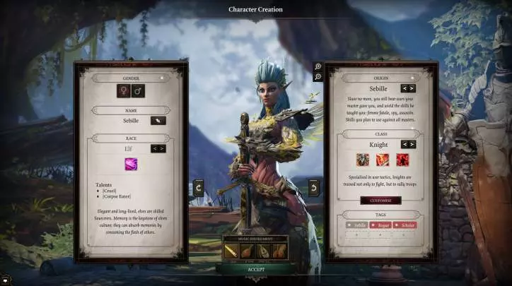 Divinity Original Sin II - PC