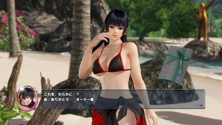 Dead or Alive Xtreme 3 Fortune