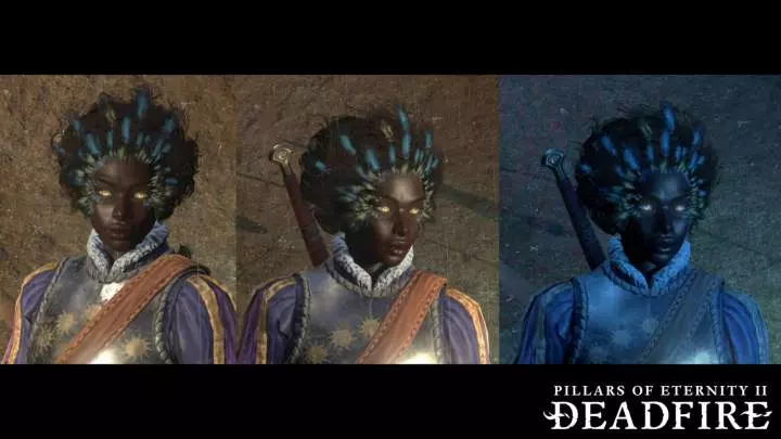 Pillars of Eternity II Deadfire