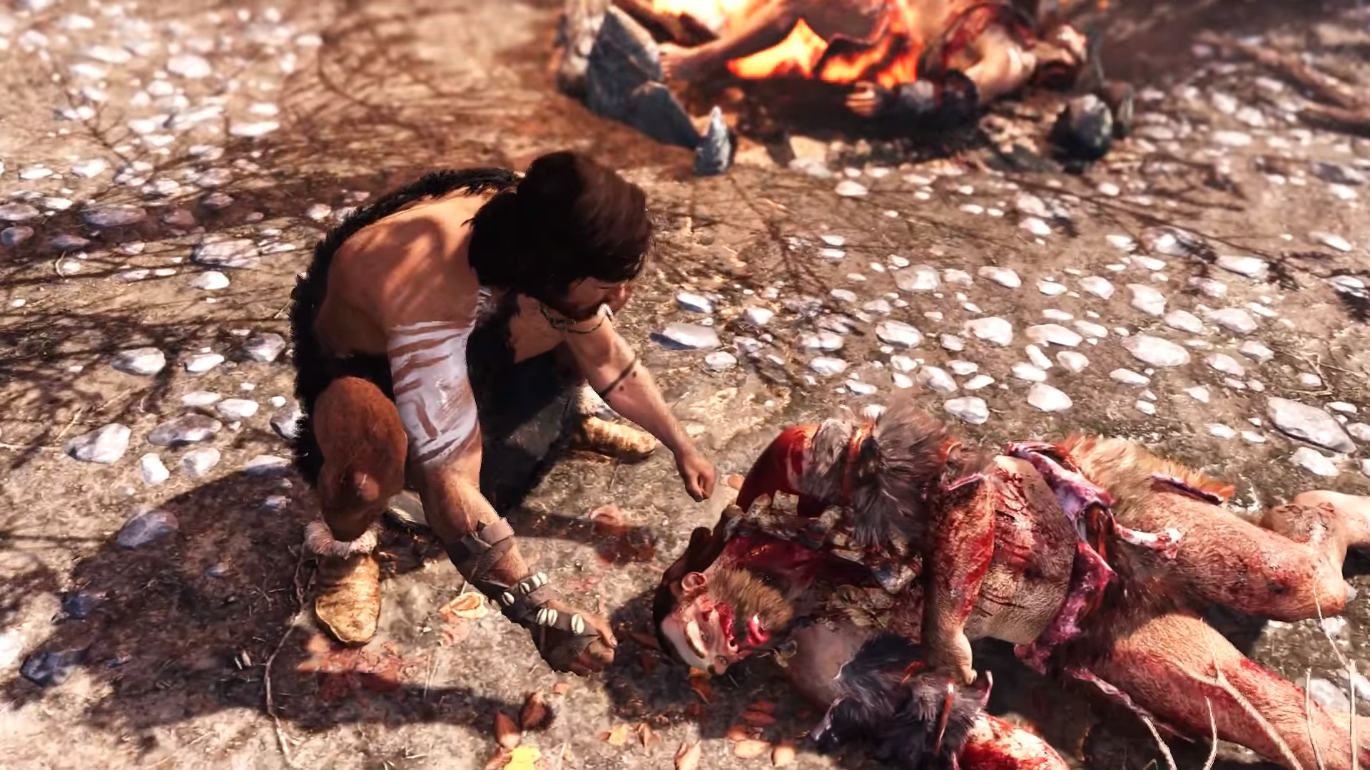 Imagen de Far Cry: Primal