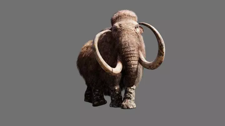 Far Cry Primal - PS4