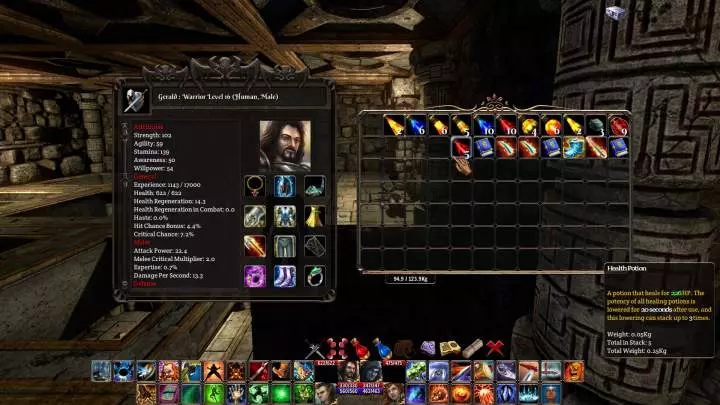 The Fall of the Dungeon Guardians - PC