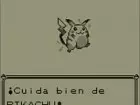 Pokémon Rojo / Pokémon Azul 