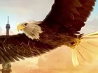 Eagle Flight