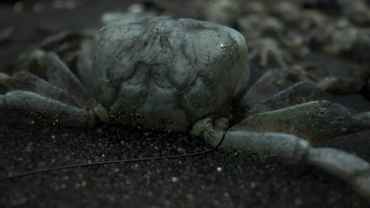 Death Stranding - PS4