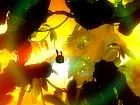 Badland 2 - Imagen