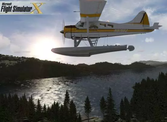 Microsoft Flight Simulator X