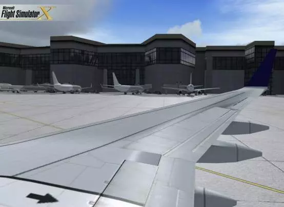 Microsoft Flight Simulator X