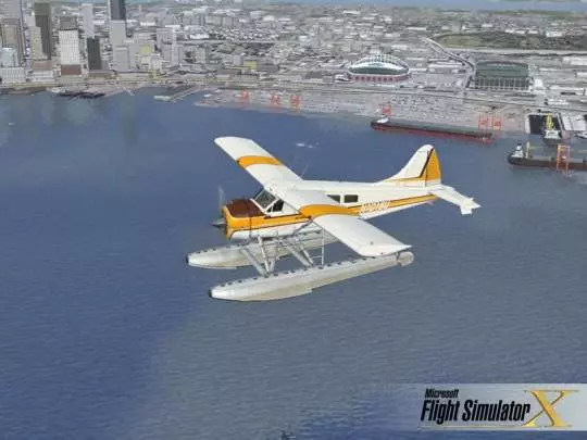 Microsoft Flight Simulator X