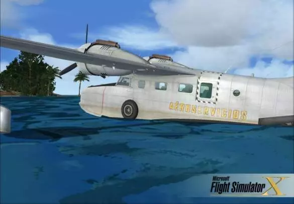 Microsoft Flight Simulator X