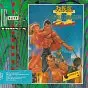 Double Dragon II: The Revenge PC