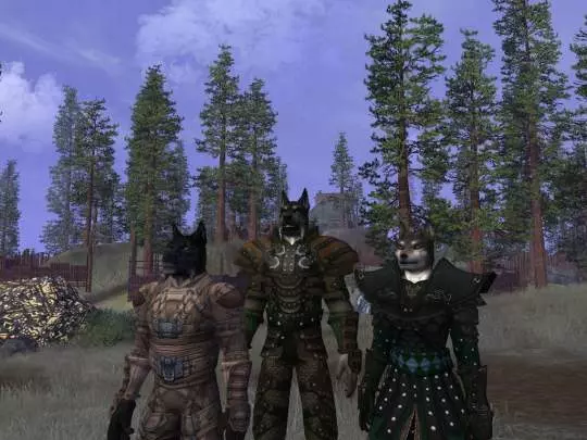 Vanguard: Saga of Heroes