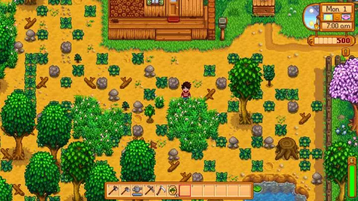 Stardew Valley