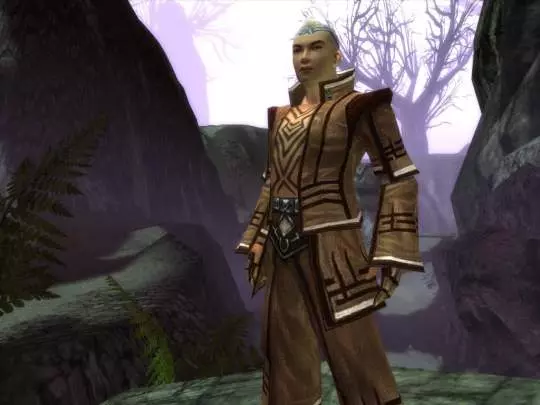 Guild Wars: Factions