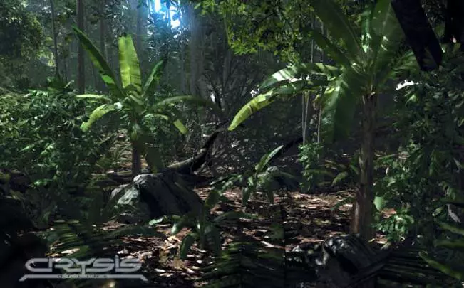 Crysis