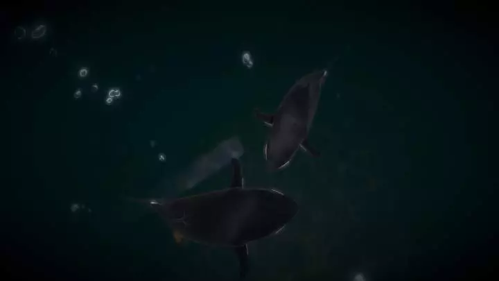 Hide & Hold Out - H20 - PC