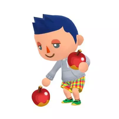 Animal Crossing Pocket Camp