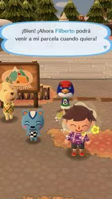 Animal Crossing: Pocket Camp