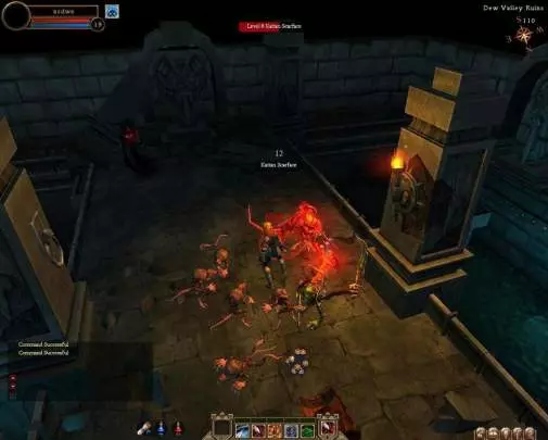 Dungeon Runners - PC