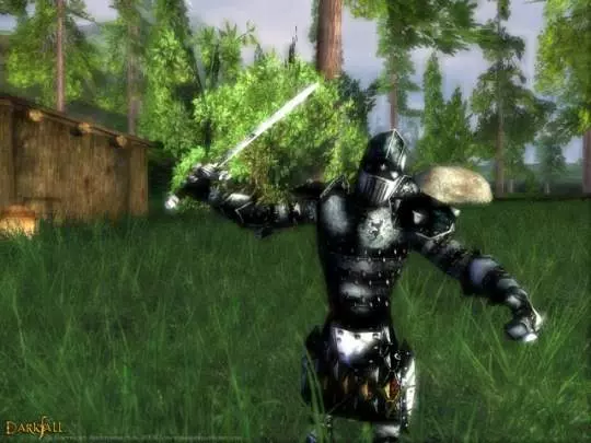 Darkfall - PC