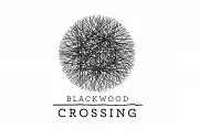 Carátula de Blackwood Crossing - PC