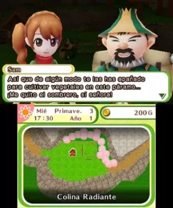 Harvest Moon: El Pueblo del Árbol Celeste