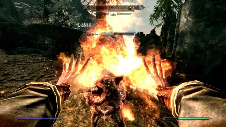 The Elder Scrolls V: Skyrim - Special Edition