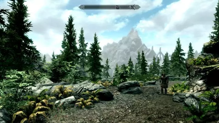 The Elder Scrolls V Skyrim