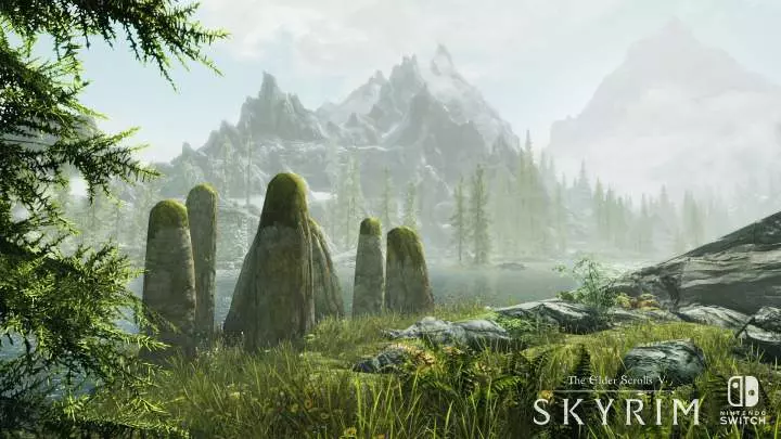 The Elder Scrolls V Skyrim - Nintendo Switch